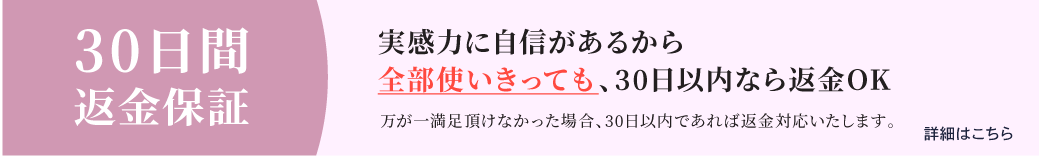30日間返金保証